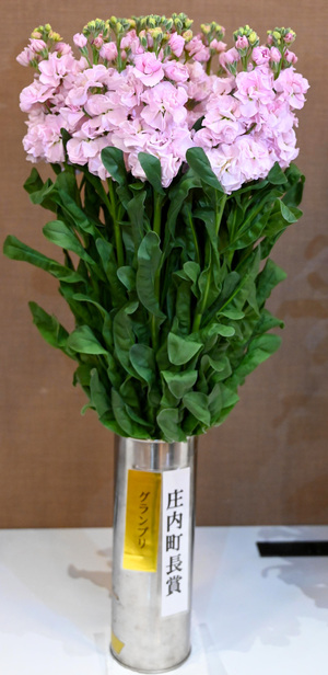 受賞したスタンダードストック（アイアンチェリー）