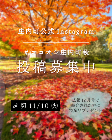インスタ投稿募集の画像