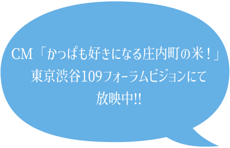 CM「かっぱも好きになる庄内町の米！」東京渋谷109フォーラムビジョンにて放映中!!