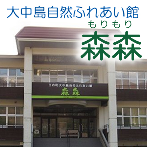 大中島自然ふれあい館森森の画像