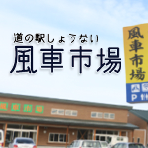 道の駅しょうない風車市場の画像