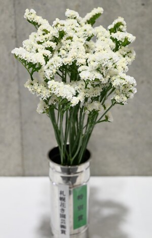 特別賞（札幌花き園芸株式会社賞）