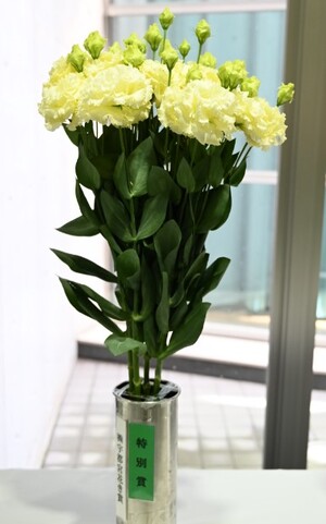 特別賞（株式会社宇都宮花き賞）