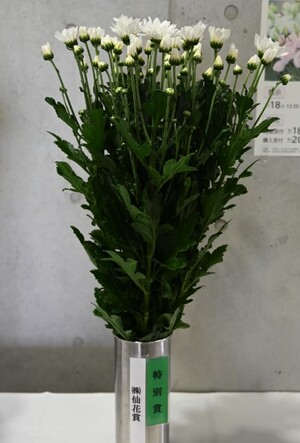 特別賞（株式会社仙花賞）