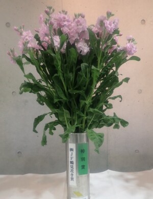 特別賞（株式会社JF鶴見花き賞）