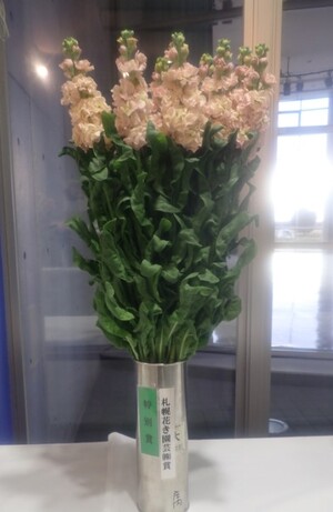 特別賞（札幌花き園芸株式会社賞）