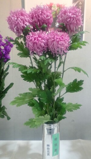 特別賞（株式会社仙花賞）