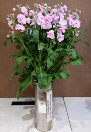 銀賞（全国農業協同組合連合会山形県本部長賞）