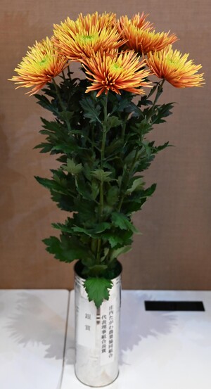 銀賞（庄内たがわ農業協同組合代表理事組合長賞）