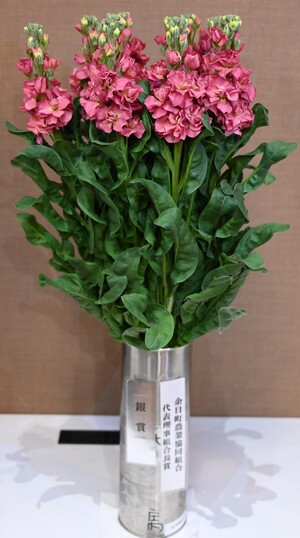 銀賞（余目町農業協同組合代表理事組合長賞）