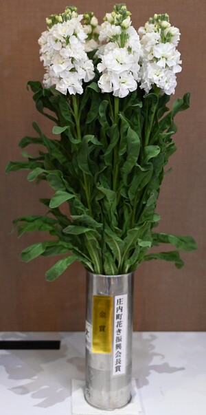 金賞（庄内町花き振興会長賞）