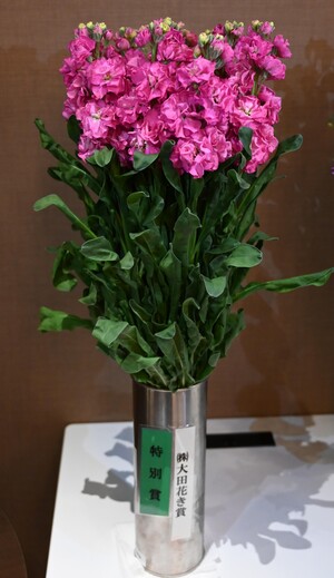 特別賞（株式会社大田花き賞）