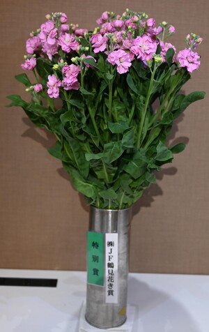特別賞（株式会社JF鶴見花き賞）