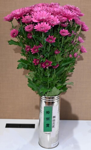 特別賞(株式会社仙花賞)