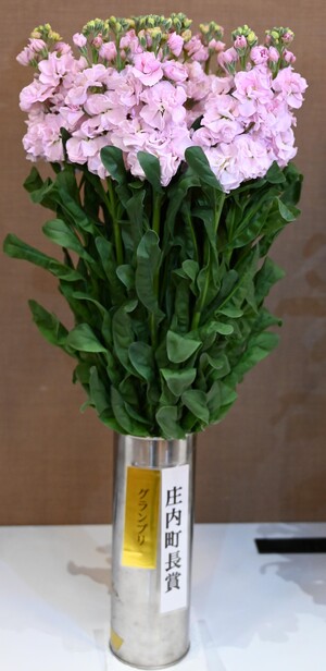 グランプリ（庄内町長賞）