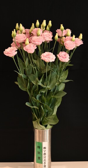 特別賞（株式会社宇都宮花き賞）