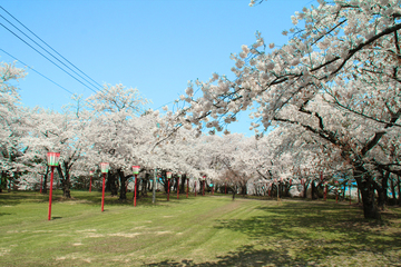 楯山公園