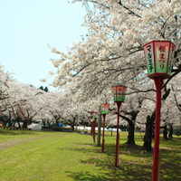 楯山公園1