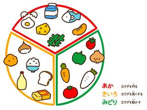 栄養バランス