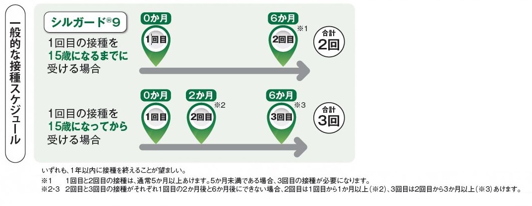 一般的な接種スケジュール