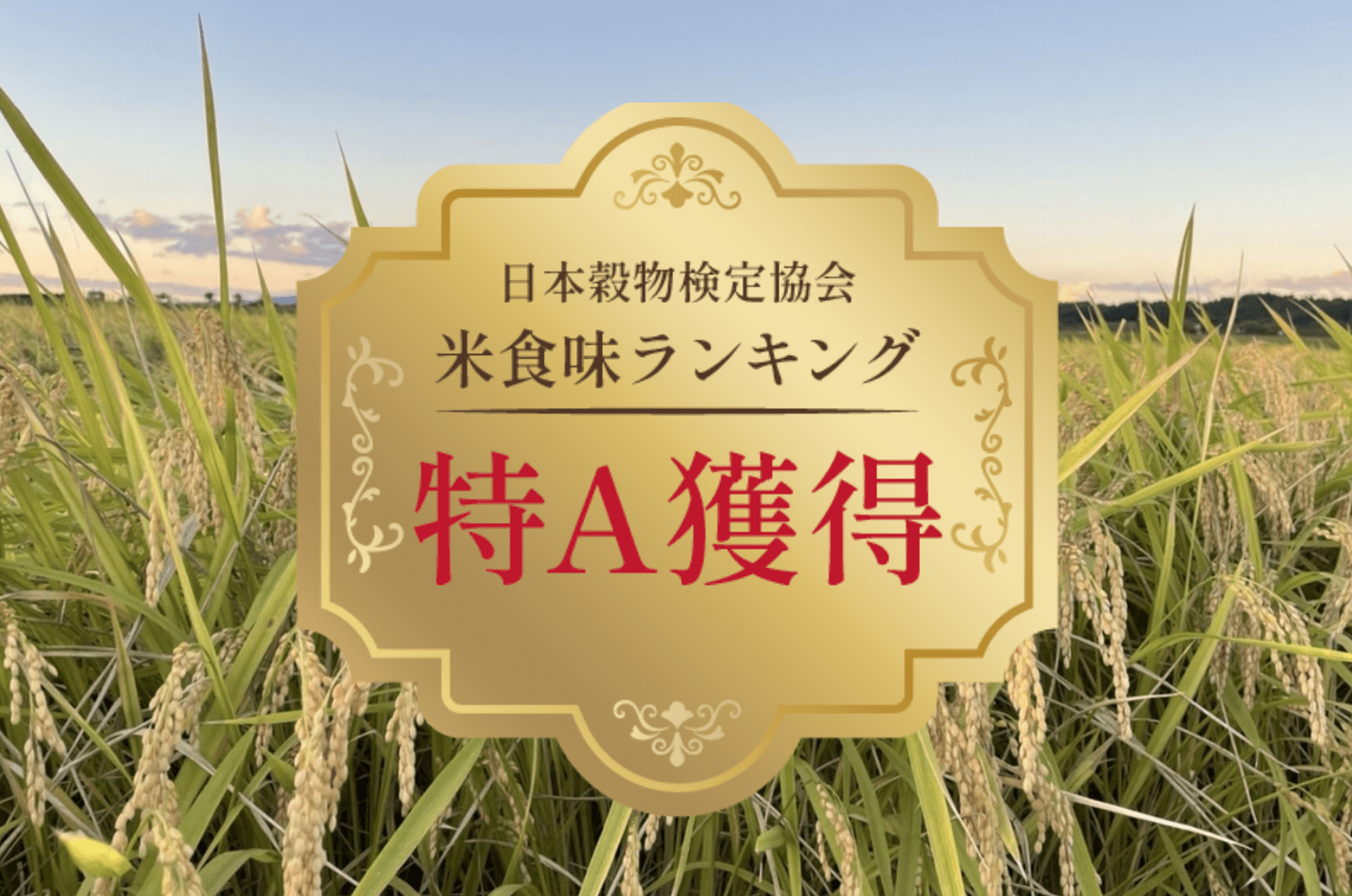 食味ランキングで特A受賞