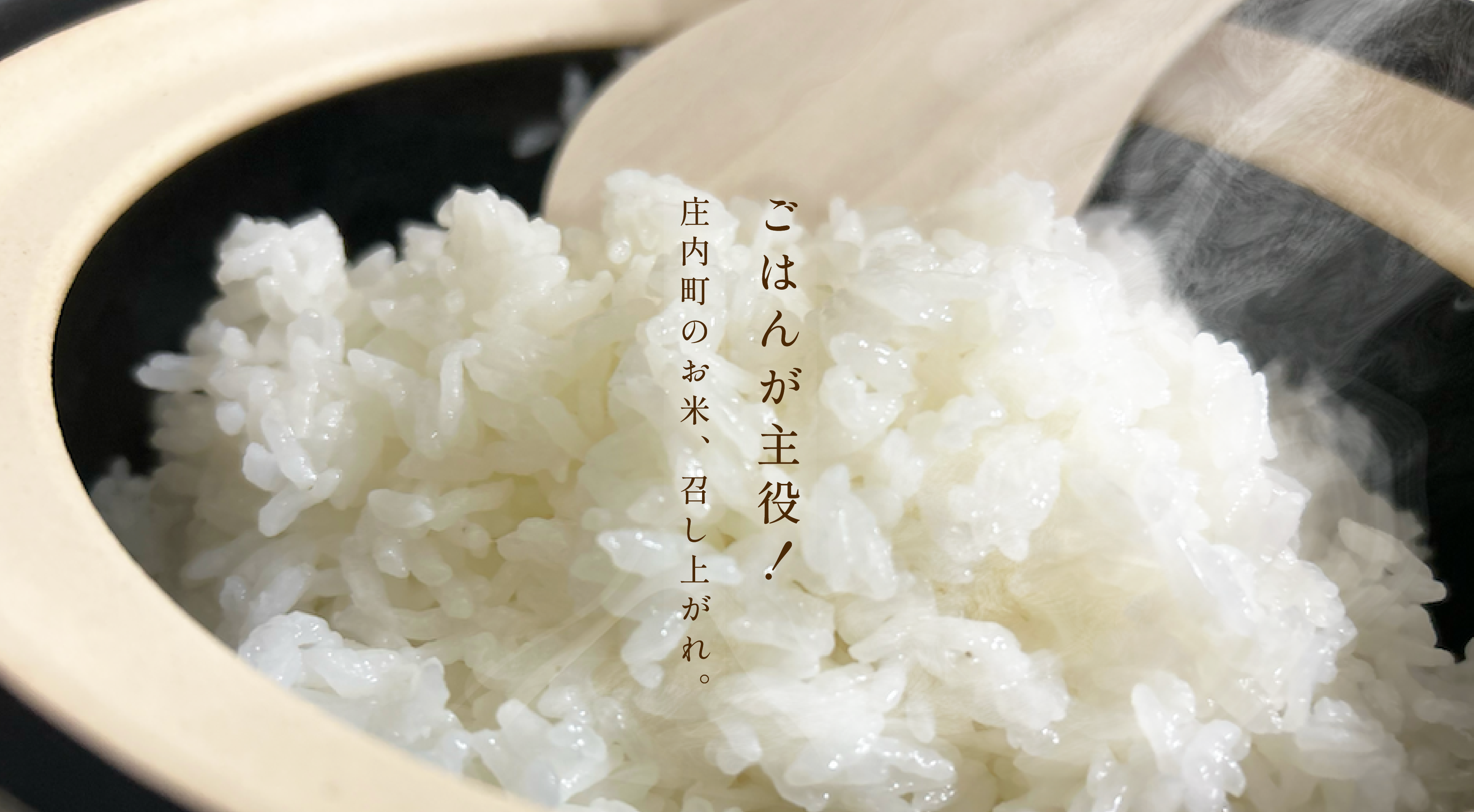 ごはんが主役!庄内のお米、召し上がれ。