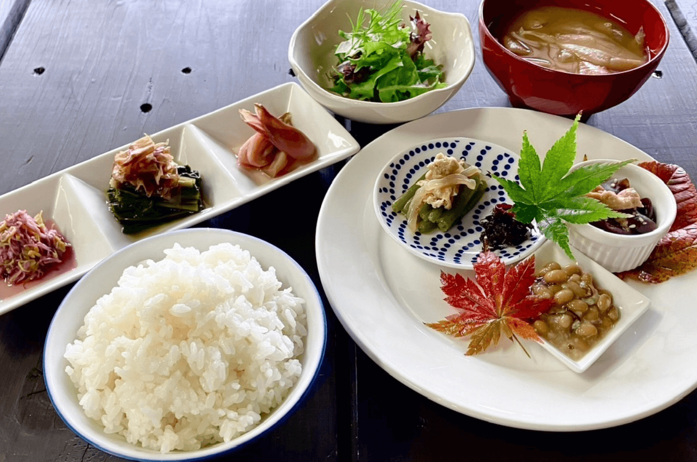 多彩な料理に選ぶ楽しさ