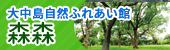 大中島自然ふれあい館　森森